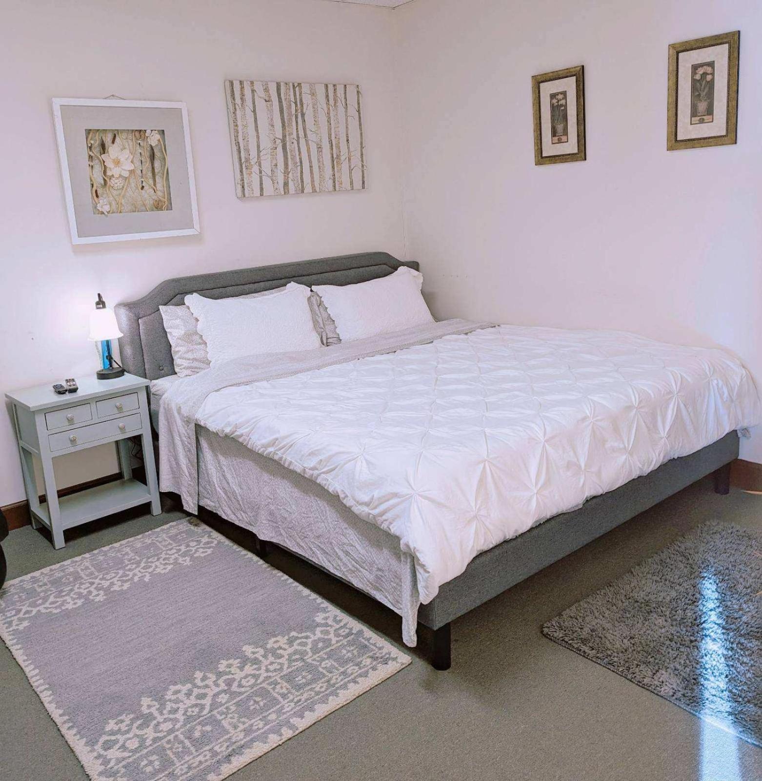Uptown Area, Cozy King Suite, Quiet And Private, Free Parking, Walk To Restaurants Charlotte Dış mekan fotoğraf